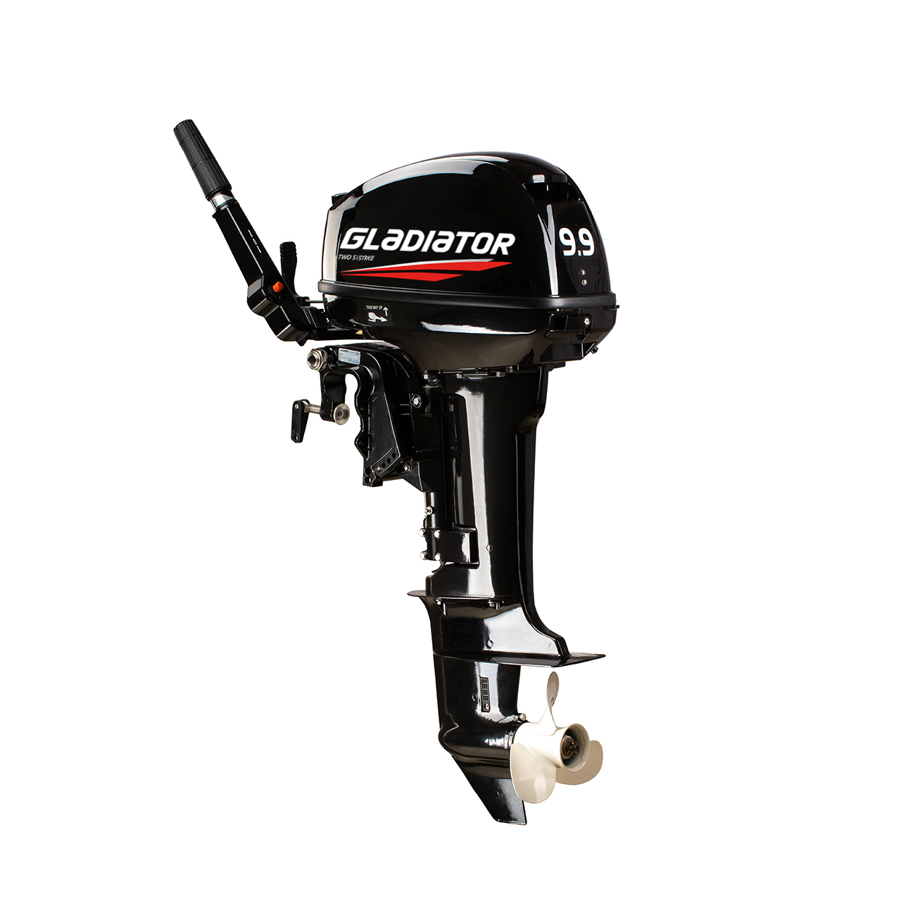 ЛОДОЧНЫЙ МОТОР GLADIATOR G9.9FHS в Орске