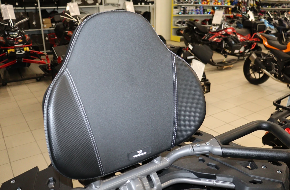 Квадроцикл PROMAX RENEGADE 300 LONG WINCH PRO (2025) в Орске