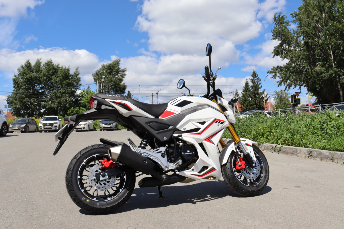 Мотоцикл PROMAX STRYKER 200(49) 2.0 в Орске