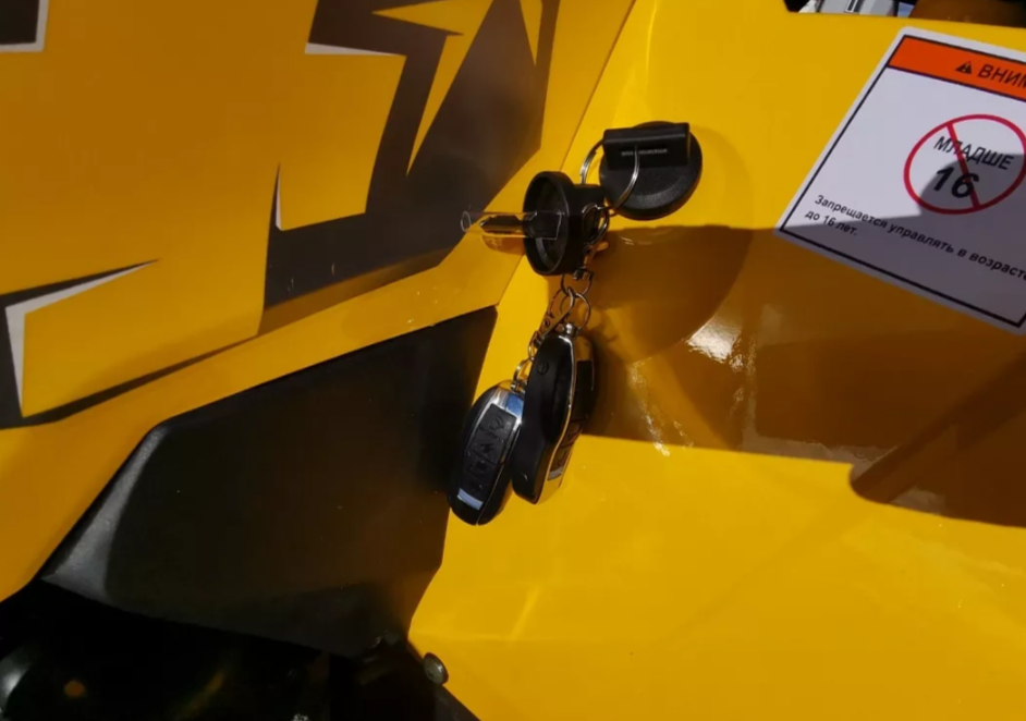 Квадроцикл MOTOLAND (МОТОЛЕНД) VOX200 WILD TRACK X PRO (баланс. вал) в Орске