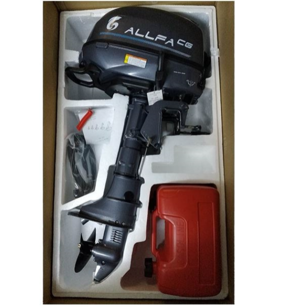 Лодочный мотор ALLFA CG F6 в Орске