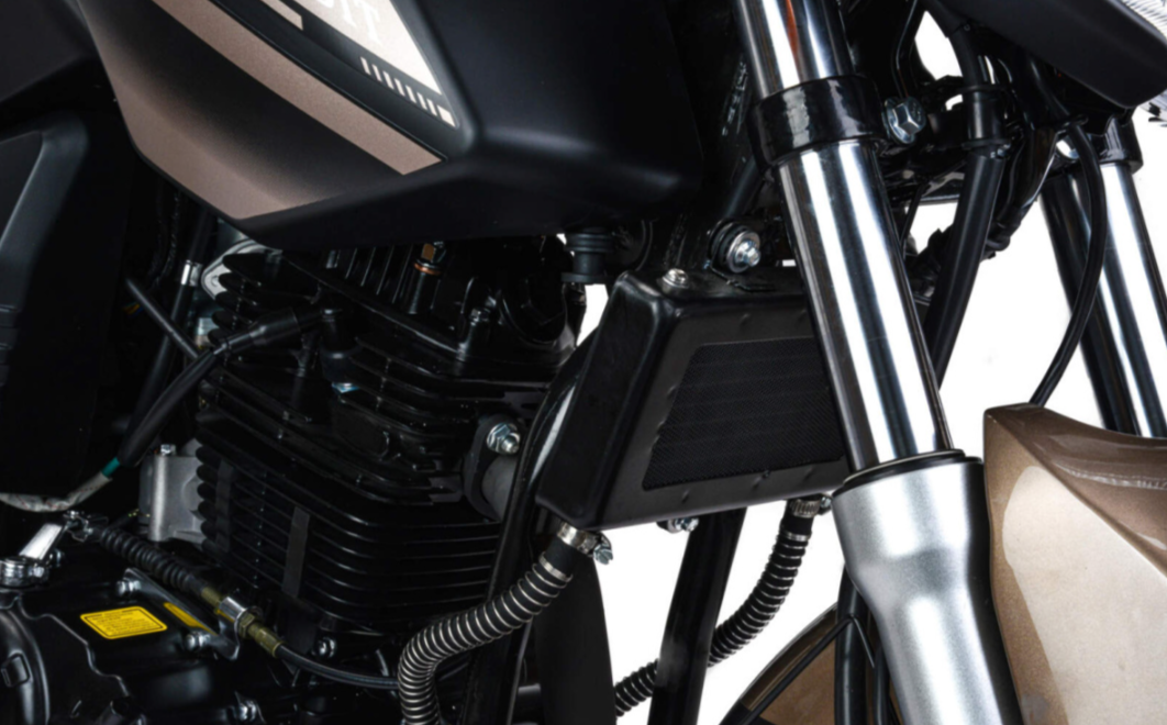 Мотоцикл MOTOLAND (МОТОЛЕНД) 300 BANDIT в Орске