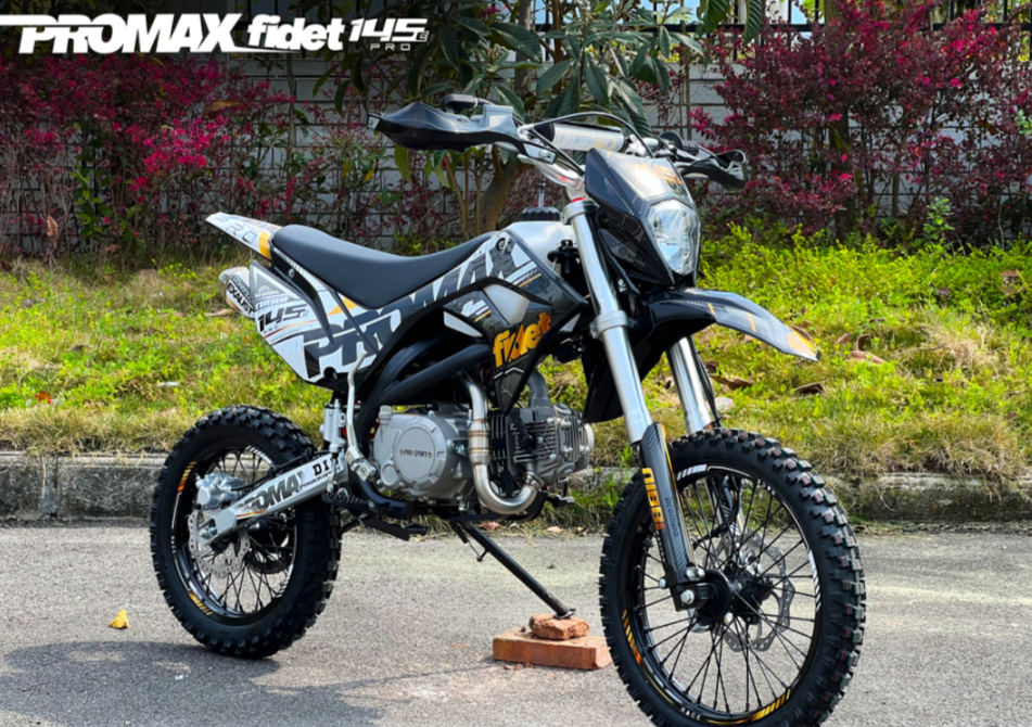 Мотоцикл (питбайк) PROMAX FIDET (ФАЙДЕТ) 145E PRO 17/14 в Орске