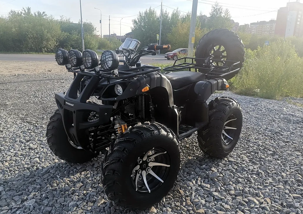 Квадроцикл PROMAX LEO 300 Max (кардан) в Орске