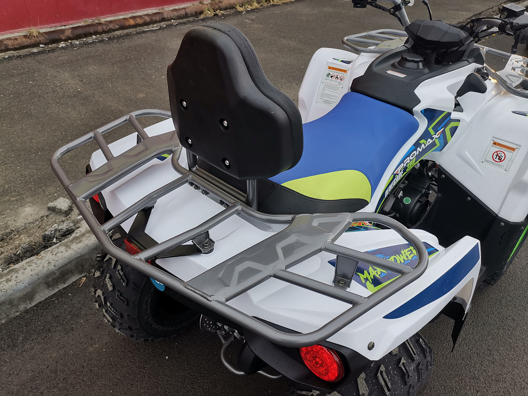 Квадроцикл PROMAX RENEGADE 280 LUX (2025) в Орске