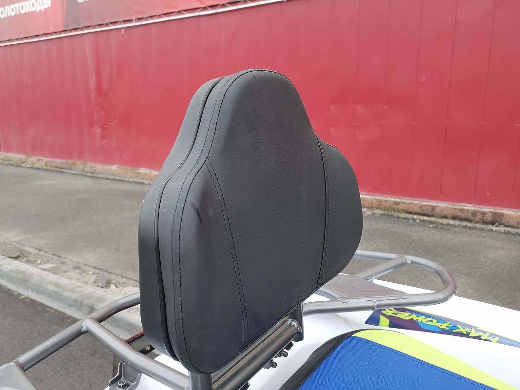 Квадроцикл PROMAX RENEGADE 280 LUX (2025) в Орске