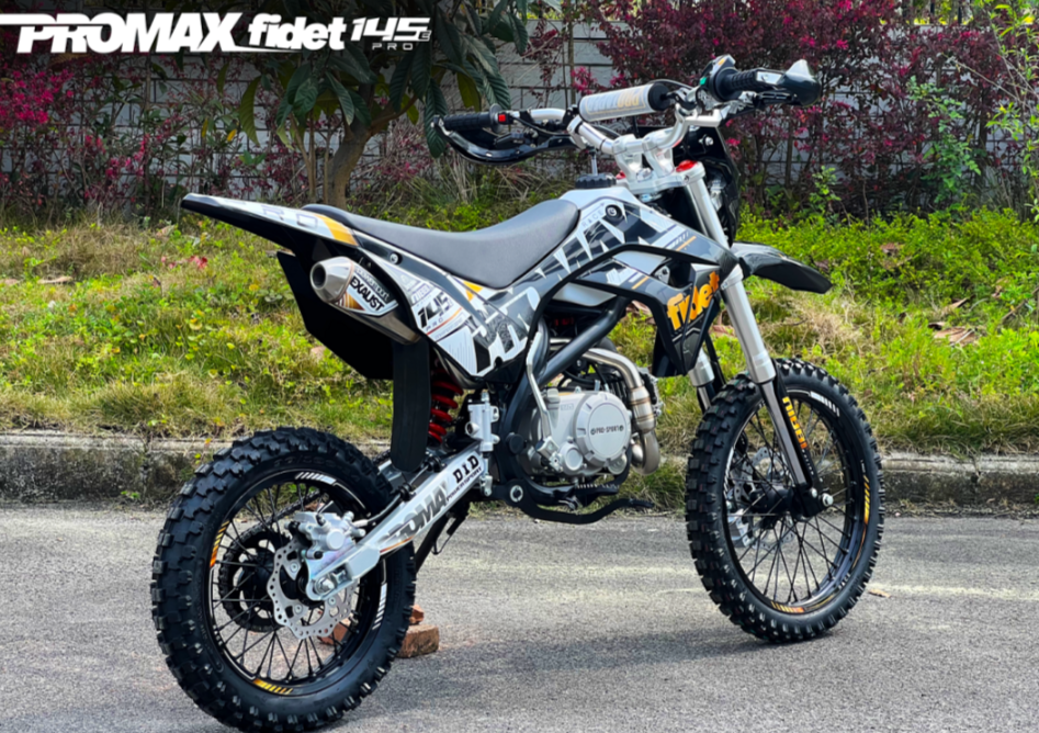 Мотоцикл (питбайк) PROMAX FIDET (ФАЙДЕТ) 145E PRO 17/14 в Орске