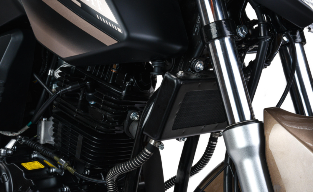 Мотоцикл MOTOLAND (МОТОЛЕНД) 300 BANDIT в Орске