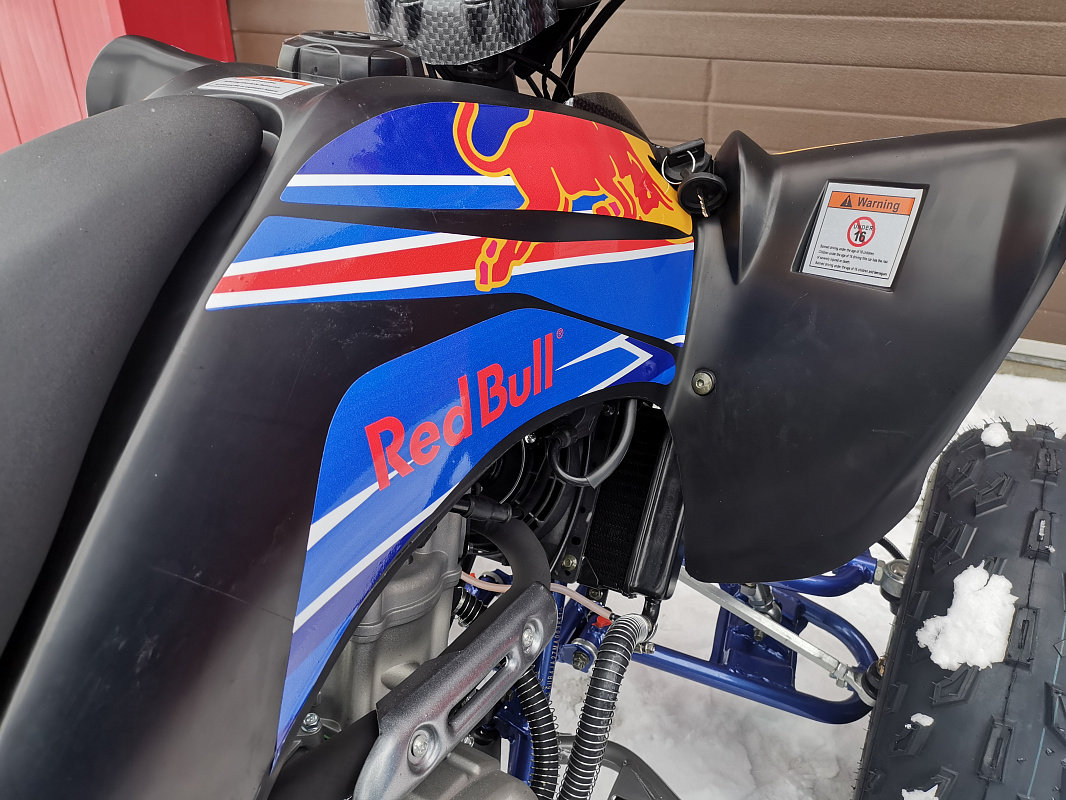 Квадроцикл PROMAX RAPTOR 300 NEW RedBull в Орске