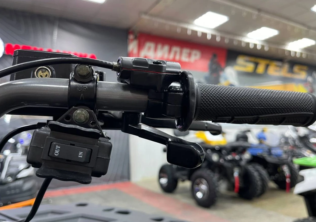 Квадроцикл PROMAX RENEGADE 300 LONG WINCH PRO (2025) в Орске