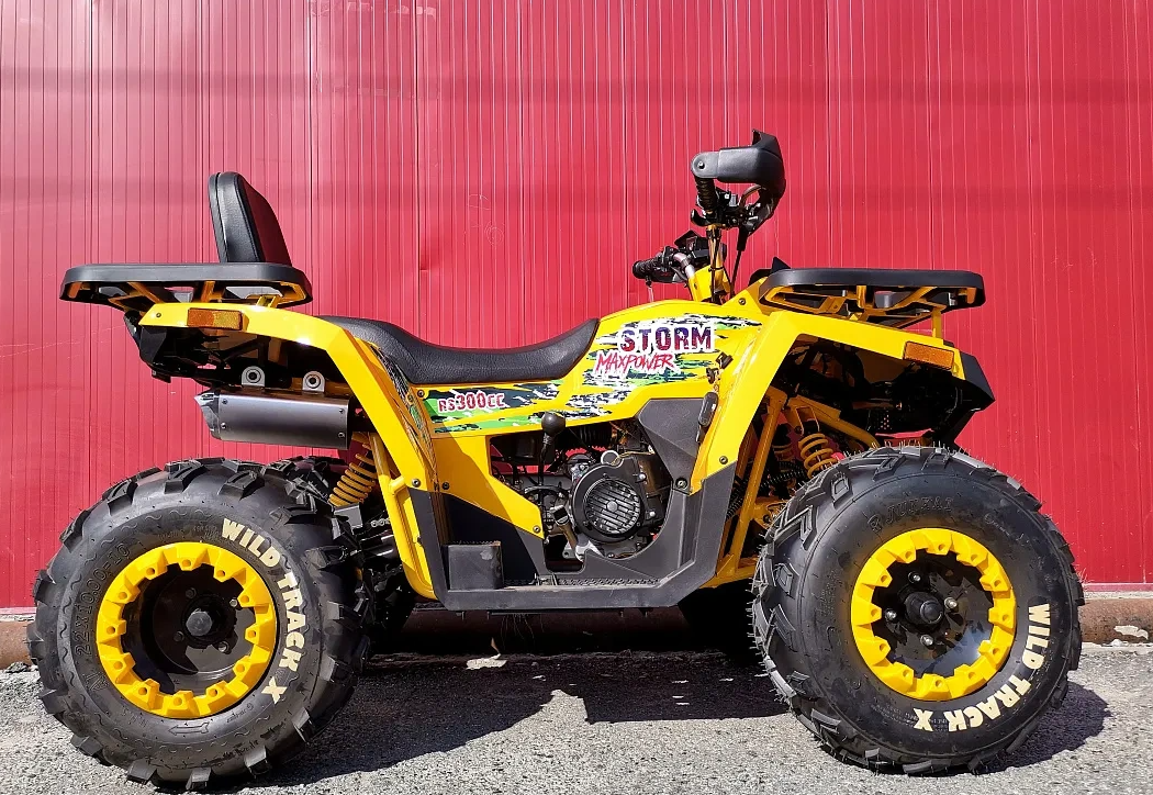 Квадроцикл PROMAX STORM 280 LUX в Орске