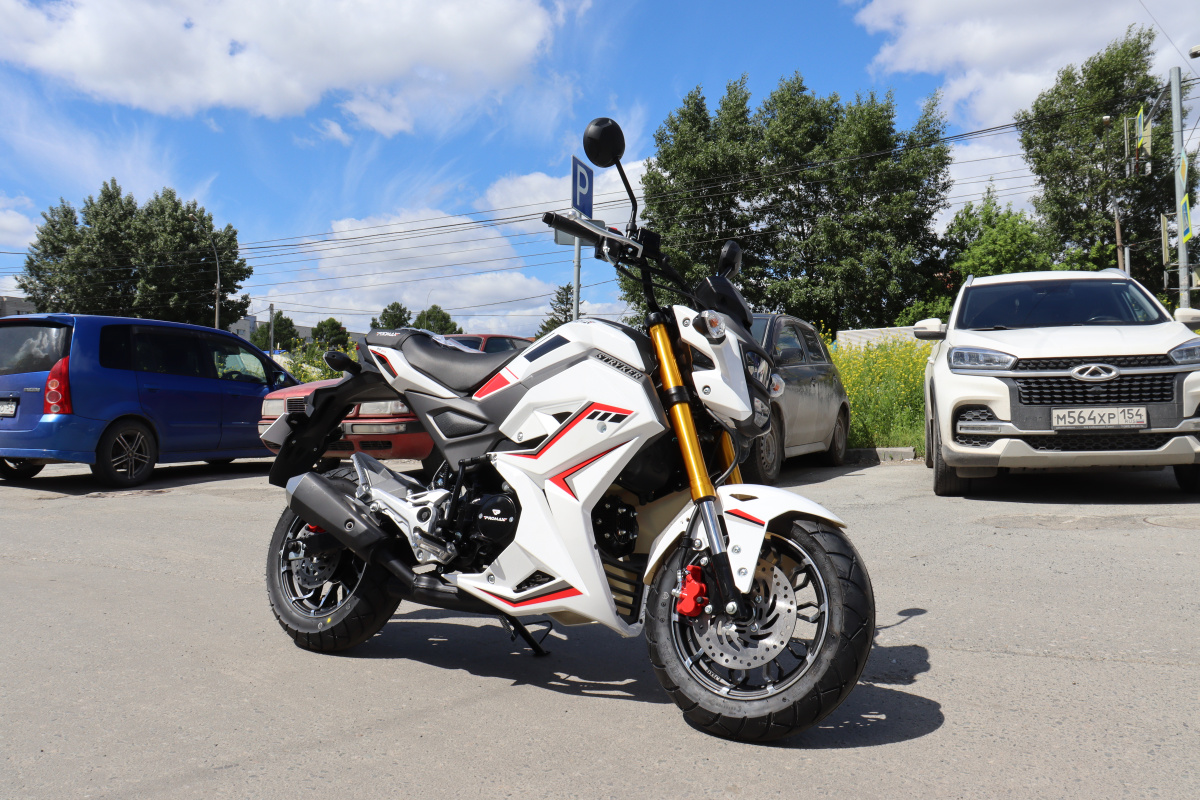 Мотоцикл PROMAX STRYKER 200(49) 2.0 в Орске