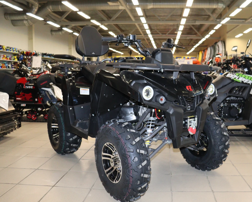 Квадроцикл PROMAX RENEGADE 300 LONG WINCH PRO (2025) в Орске