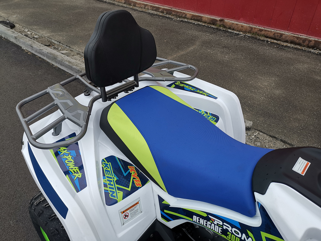 Квадроцикл PROMAX RENEGADE 280 LUX (2025) в Орске