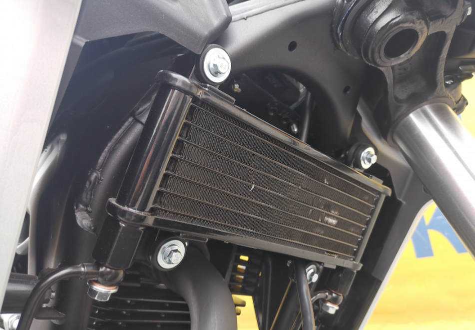 Мотоцикл MOTOLAND (МОТОЛЕНД) 250 CB250 (172FMM-5/PR250) (2022 г.) в Орске