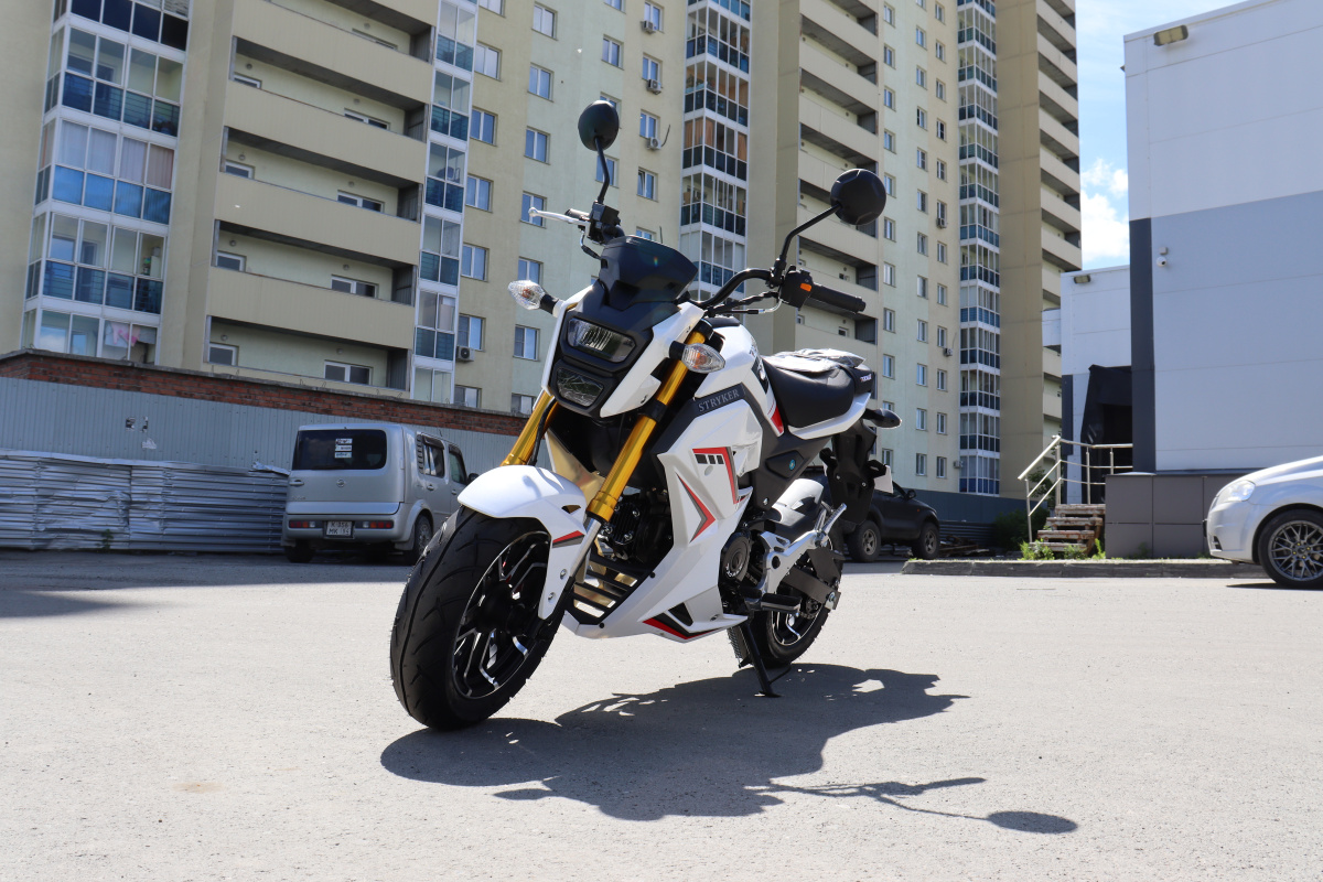 Мотоцикл PROMAX STRYKER 200(49) 2.0 в Орске