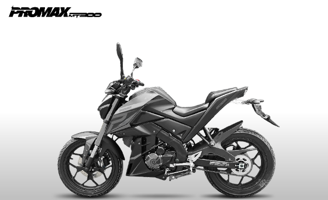 Мотоцикл PROMAX MT300 в Орске