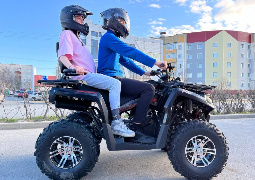 Квадроцикл PROMAX RENEGADE 300 LONG WINCH PRO (2025) в Орске