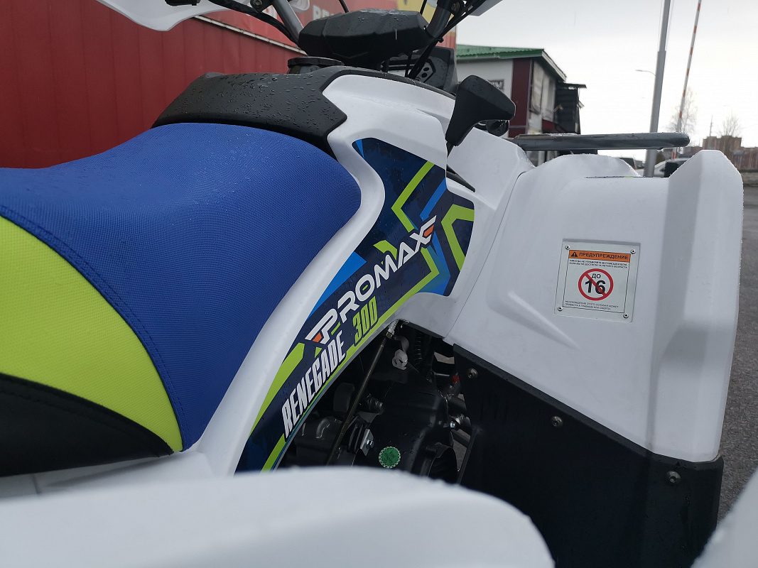 Квадроцикл PROMAX RENEGADE 280 LUX (2025) в Орске