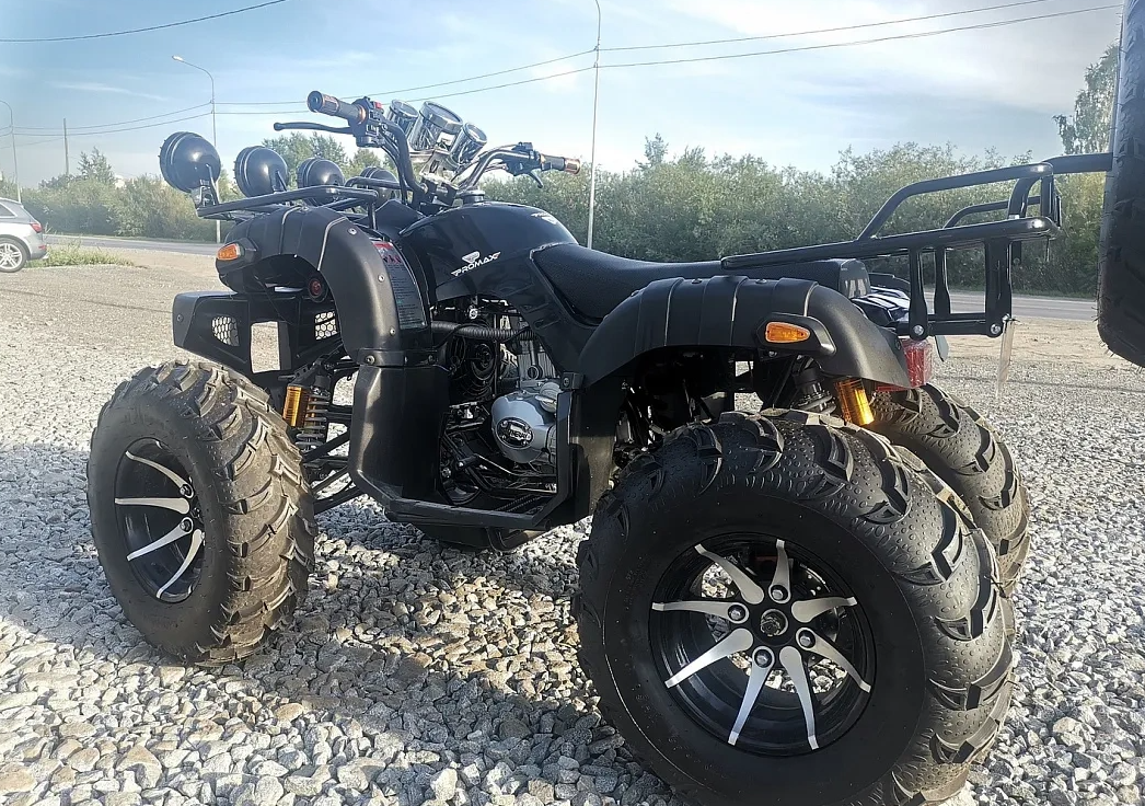 Квадроцикл PROMAX LEO 300 Max (кардан) в Орске