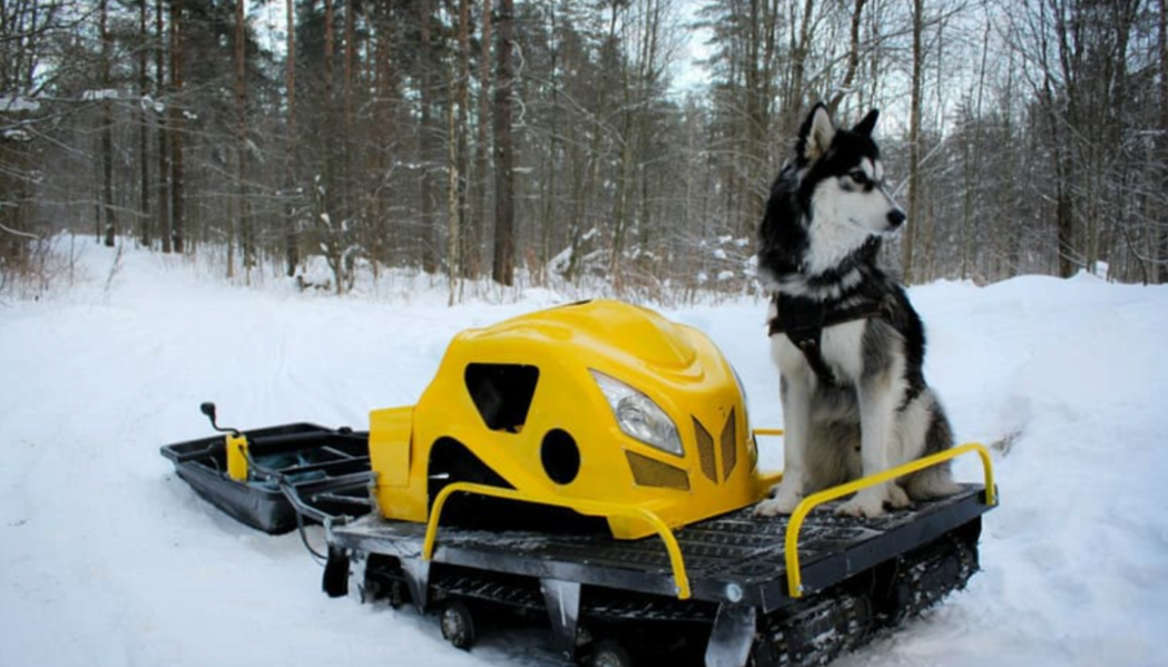 Мотобуксировщик LEBEDEV MOTORS ВОЛКОДАВ POWER V13 в Орске