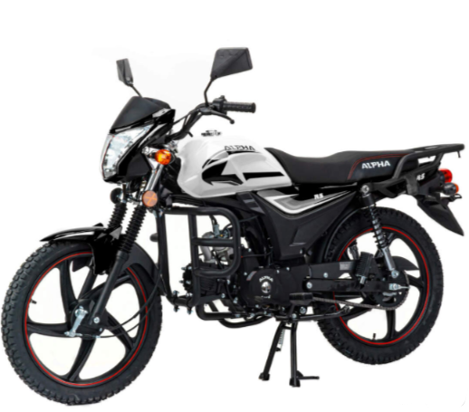 Мопед MOTOLAND (МОТОЛЕНД) Альфа RS 11 (LM48-B) в Орске