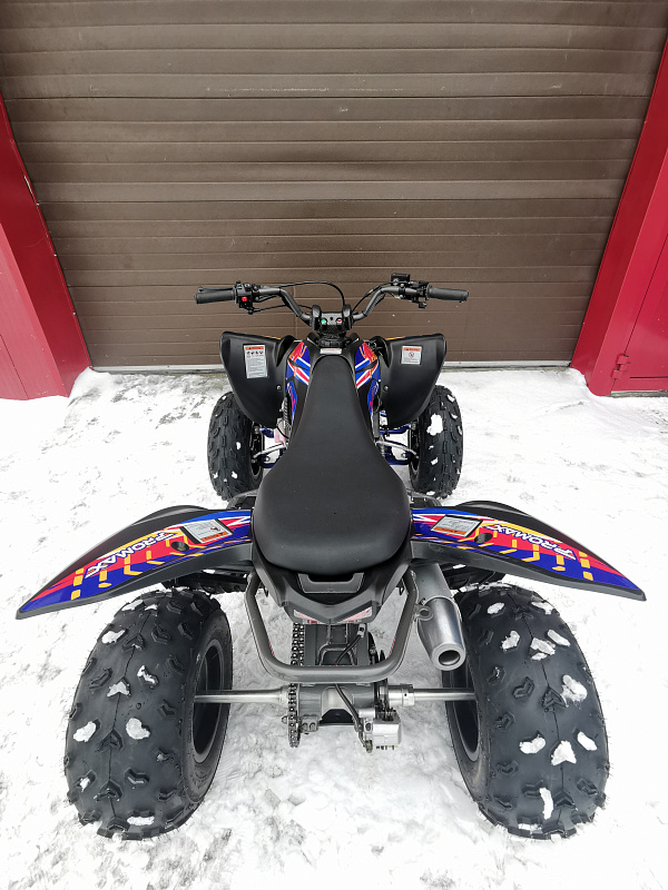 Квадроцикл PROMAX RAPTOR 300 NEW RedBull в Орске