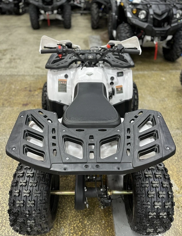 Квадроцикл PROMAX WILD 2.0 190 в Орске