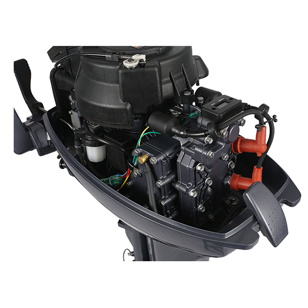 ЛОДОЧНЫЙ МОТОР ALLFA CG Т9,9 Limit в Орске