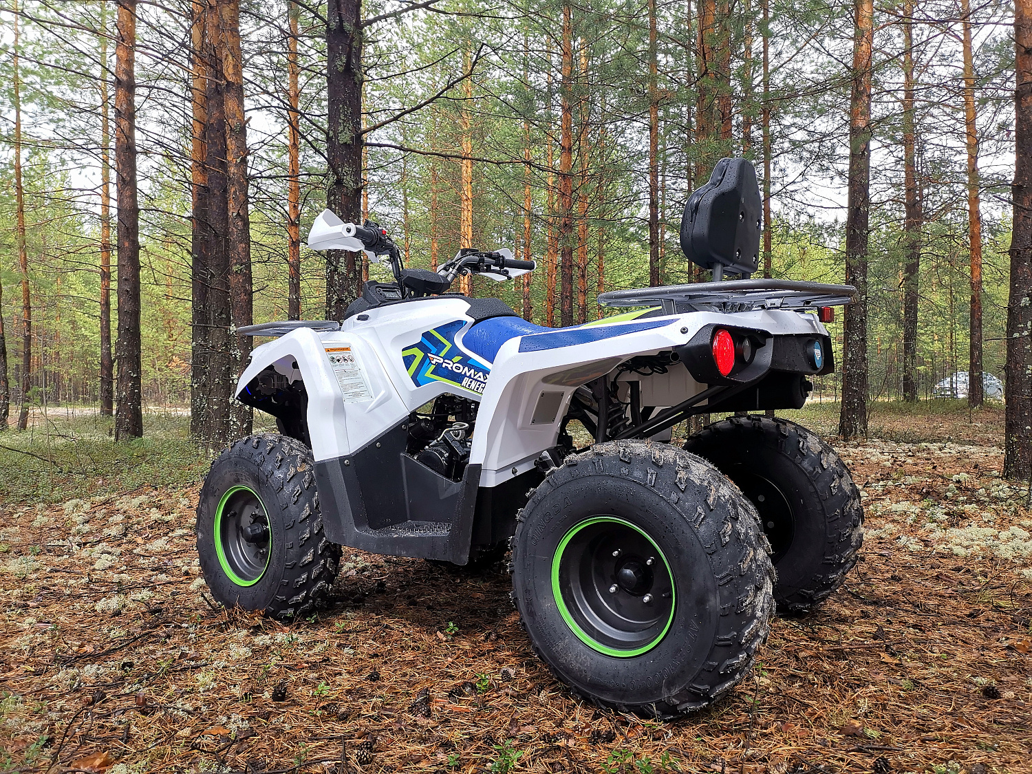 Квадроцикл PROMAX RENEGADE 280 (2025) в Орске