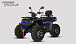Квадроцикл PROMAX TAURUS 300 MAX-PRO LONG в Орске