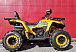 Квадроцикл PROMAX STORM 280 LUX в Орске