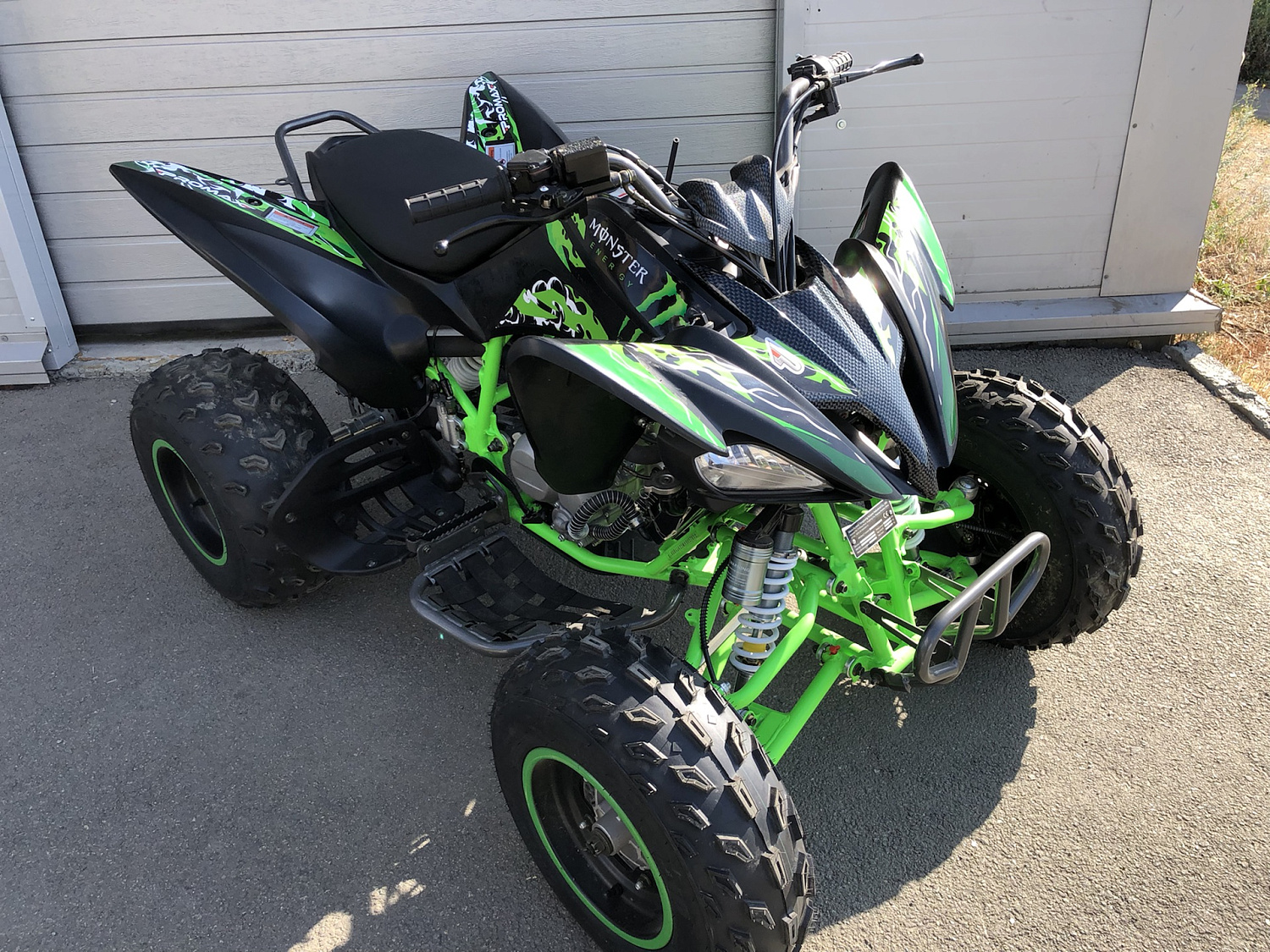 Квадроцикл PROMAX RAPTOR 300 NEW Monster в Орске