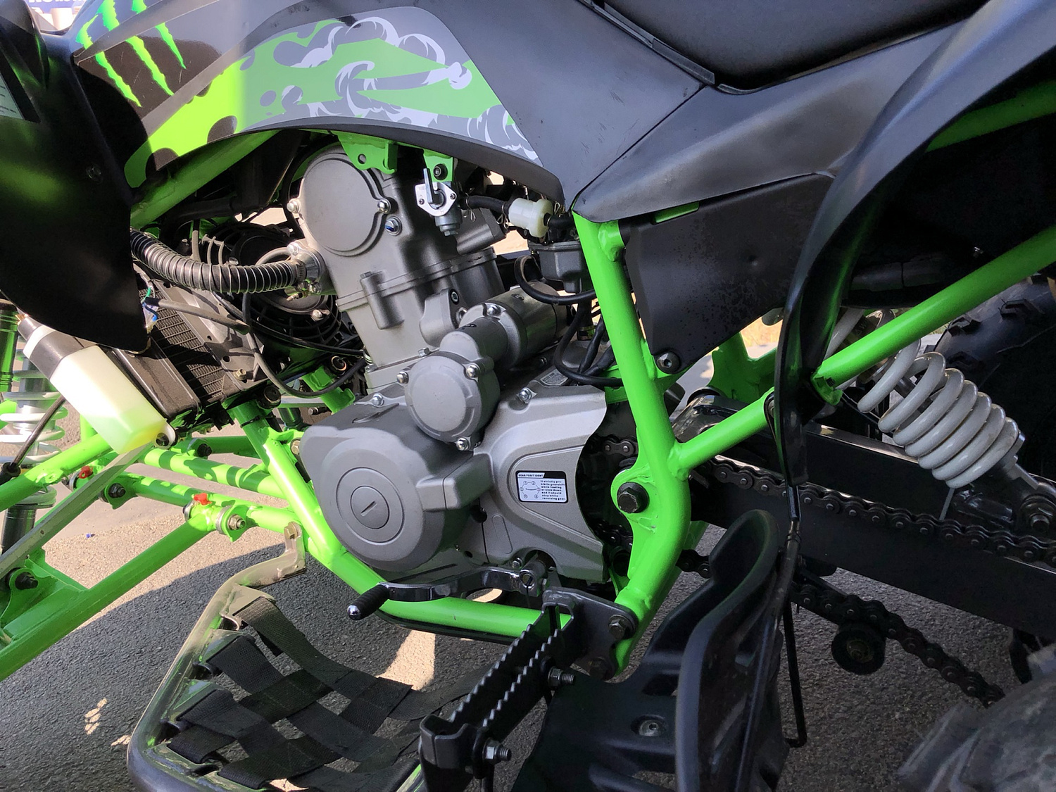 Квадроцикл PROMAX RAPTOR 300 NEW Monster в Орске