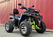  Квадроцикл PROMAX ATV 250 MAX (2025) в Орске