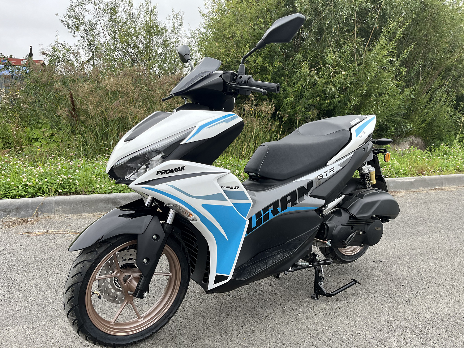 Скутер PROMAX TURAN 250 (49) в Орске