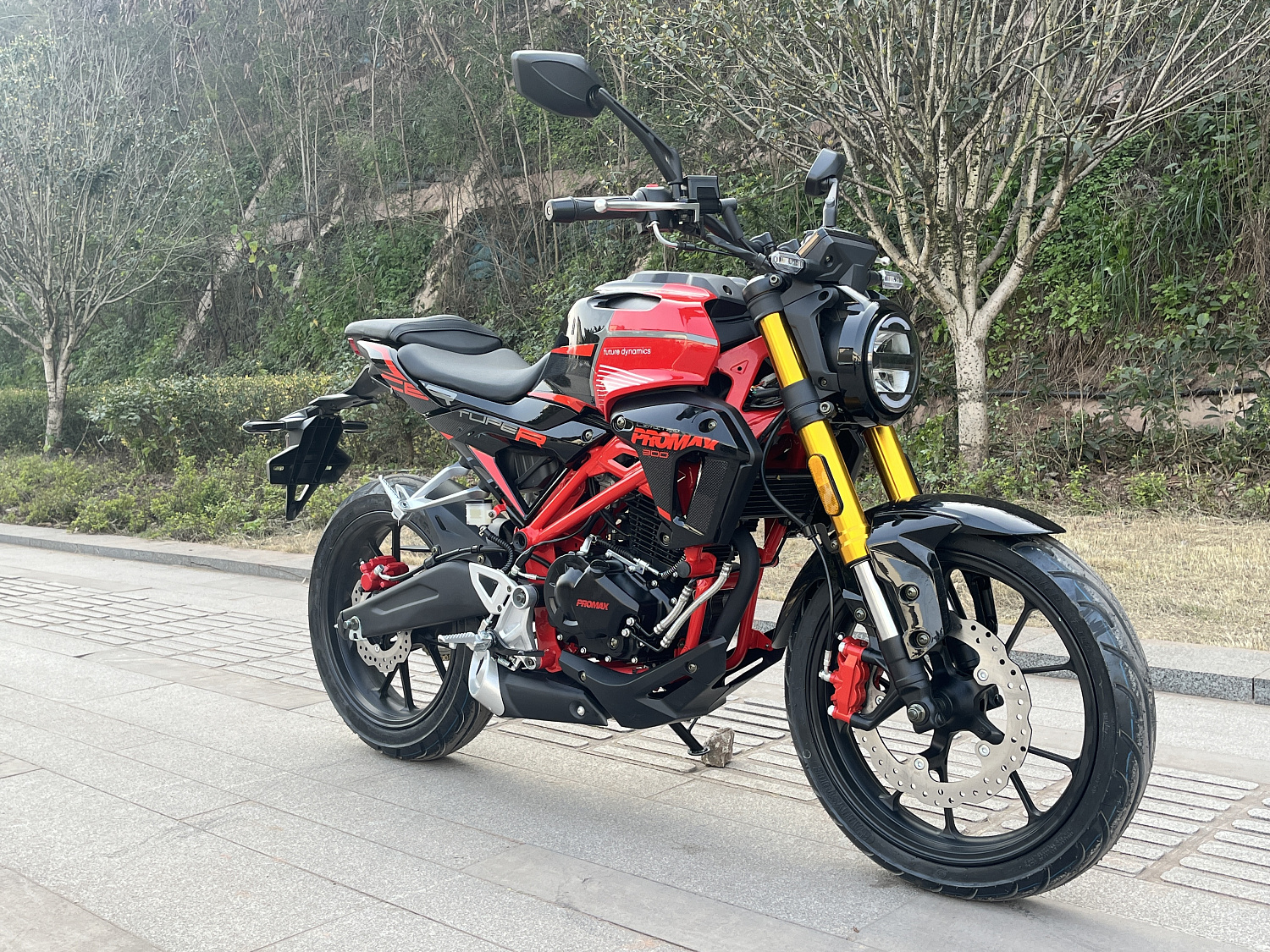 Мотоцикл PROMAX CB300 в Орске