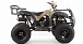 Квадроцикл MOTOLAND (МОТОЛЕНД) 200 ALL ROAD в Орске