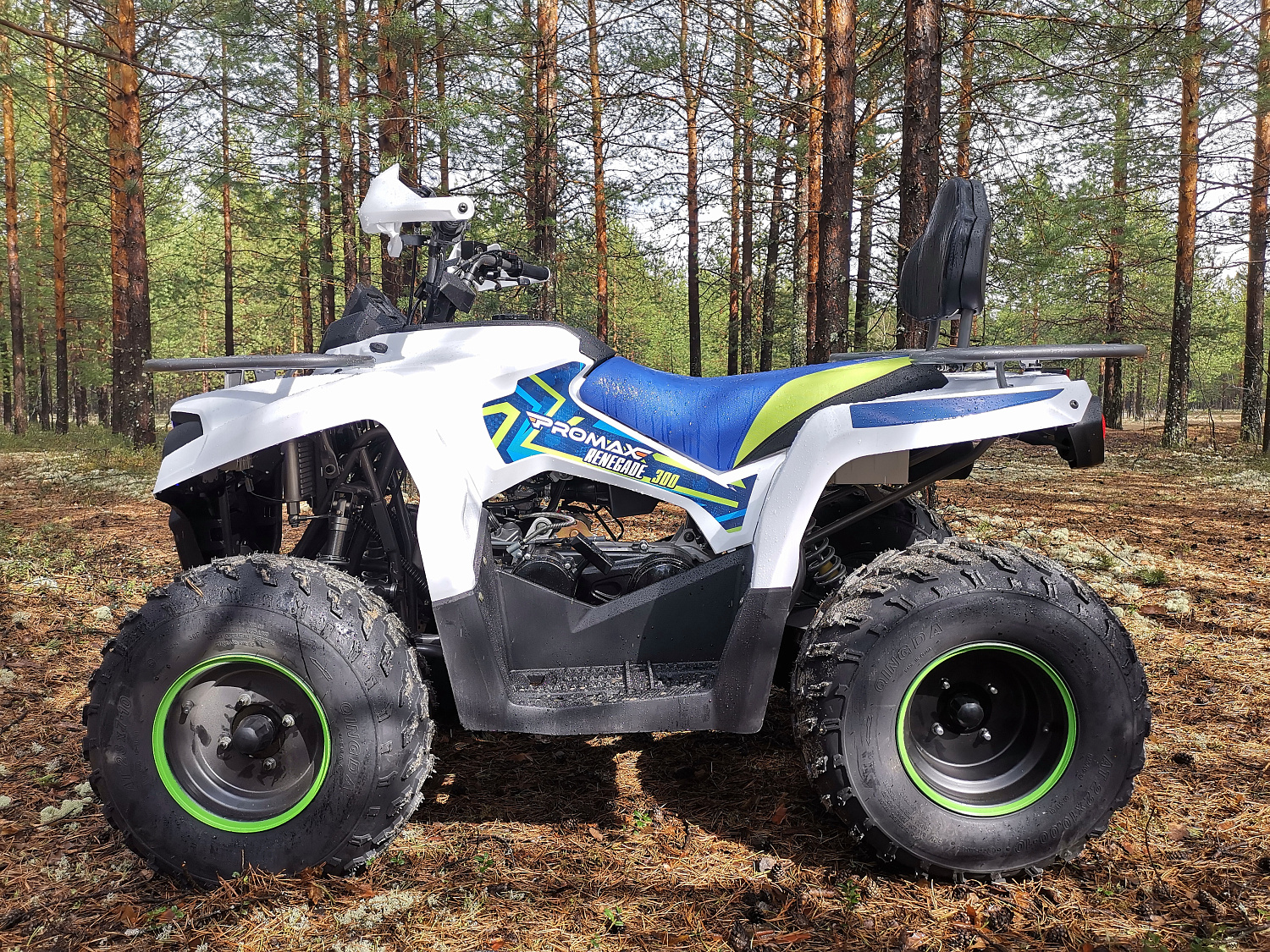 Квадроцикл PROMAX RENEGADE 280 (2025) в Орске