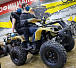 Квадроцикл PROMAX ATV 250 (2025) в Орске