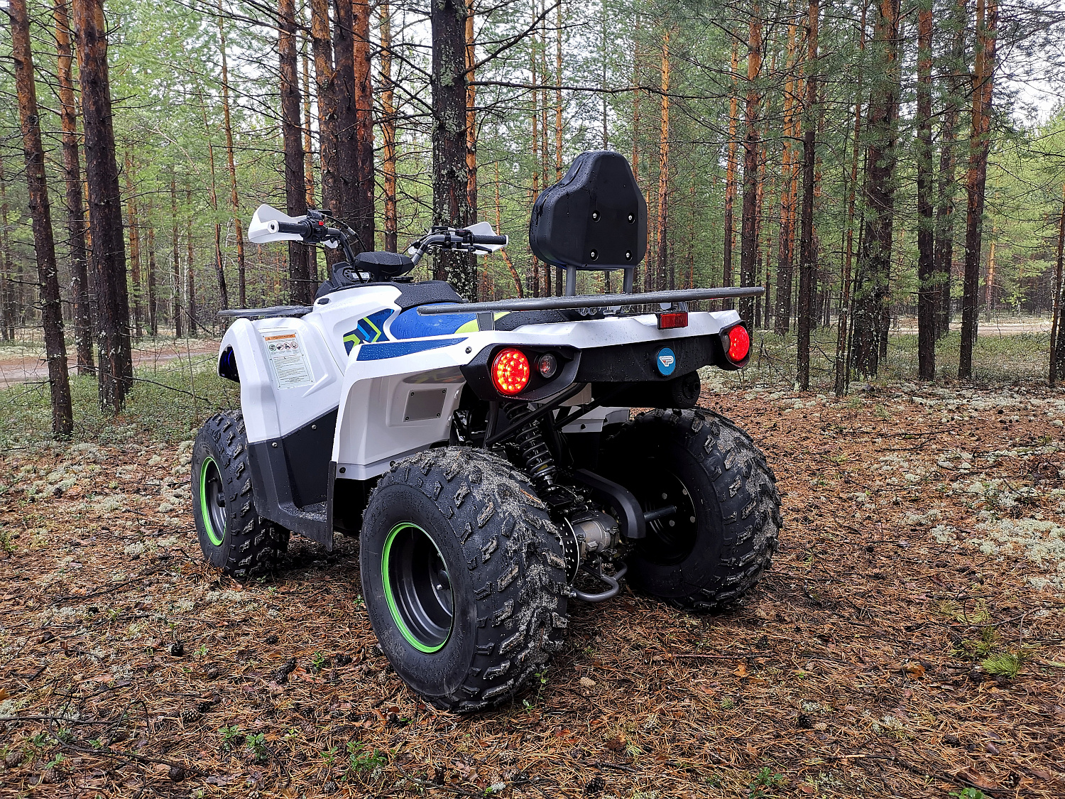 Квадроцикл PROMAX RENEGADE 280 (2025) в Орске