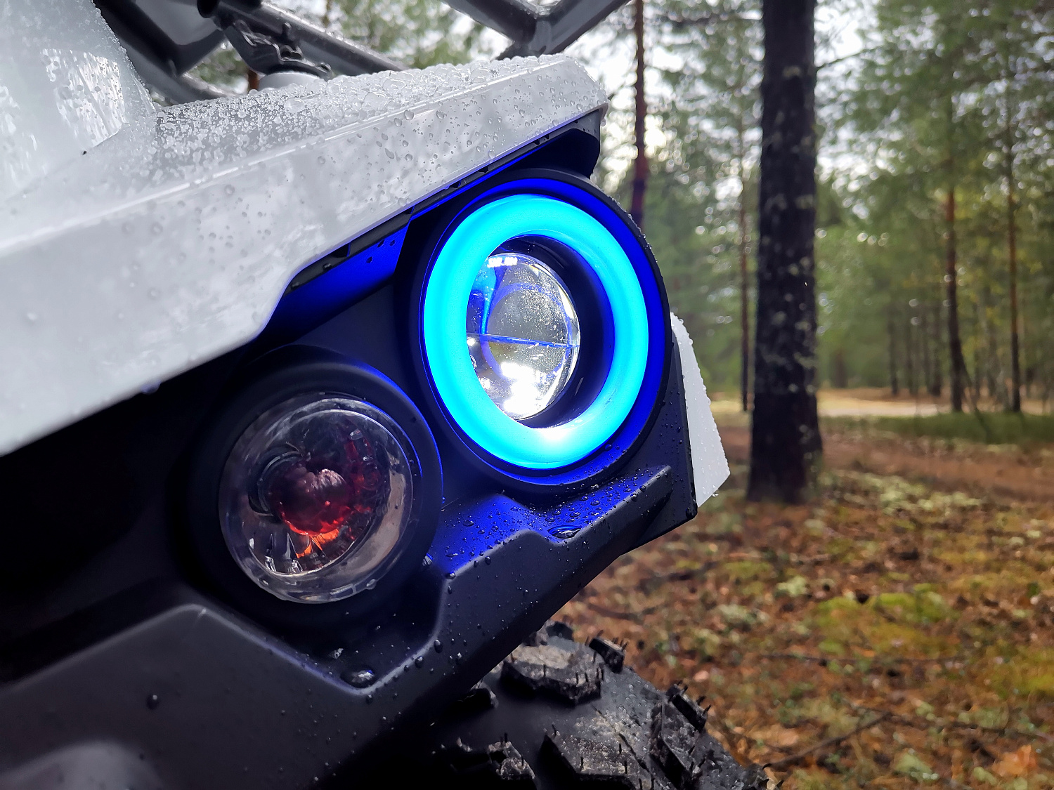 Квадроцикл PROMAX RENEGADE 280 (2025) в Орске