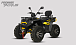 Квадроцикл PROMAX TAURUS 300 MAX-PRO LONG в Орске